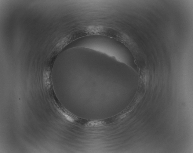 X0000052630526200507011323
