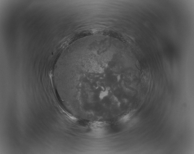 X0000052630527200507011323