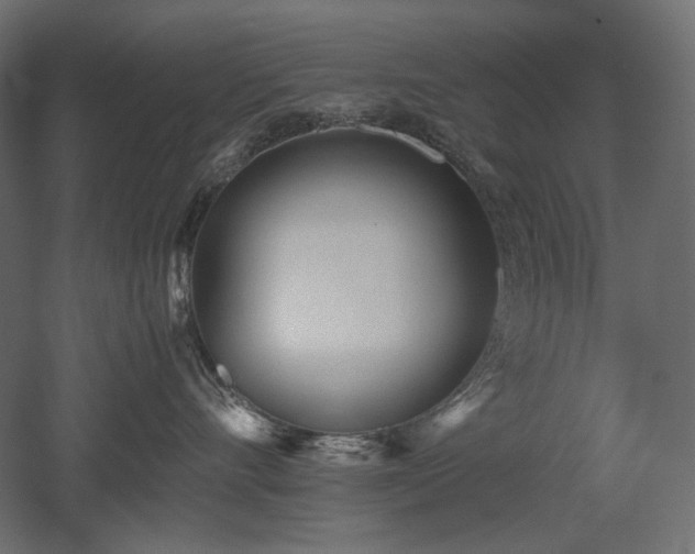 X0000052630528200507011323