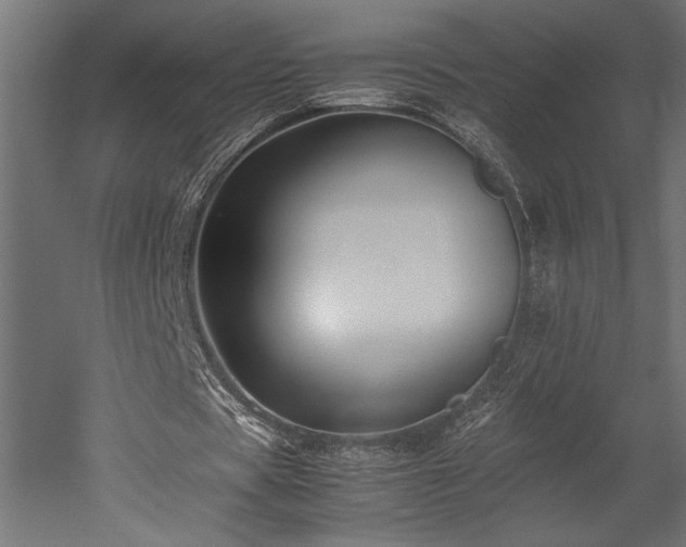 X0000052630529200507011322