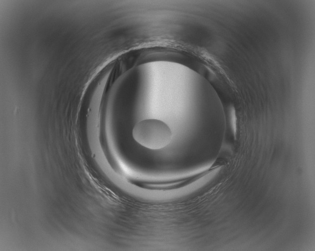 X0000052630532200507011322