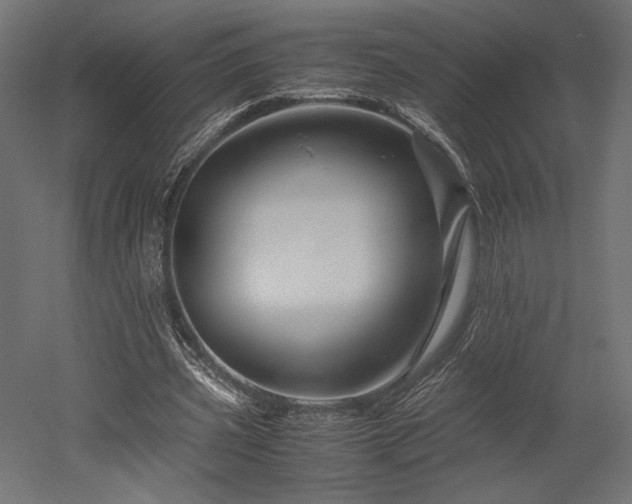 X0000052630533200507011322