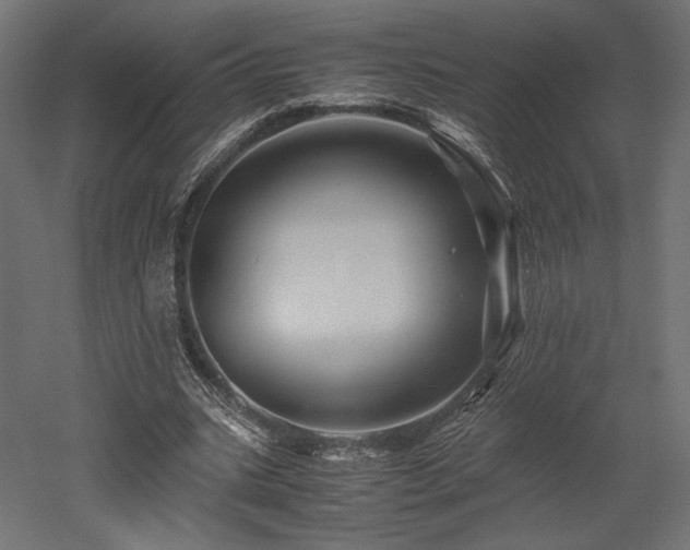 X0000052630535200507011322