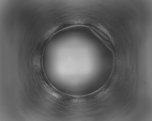 X0000052630537200507011322