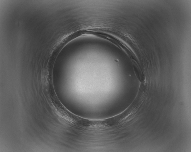 X0000052630540200507011322