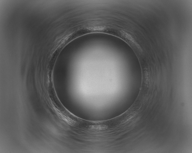 X0000052630541200507011322