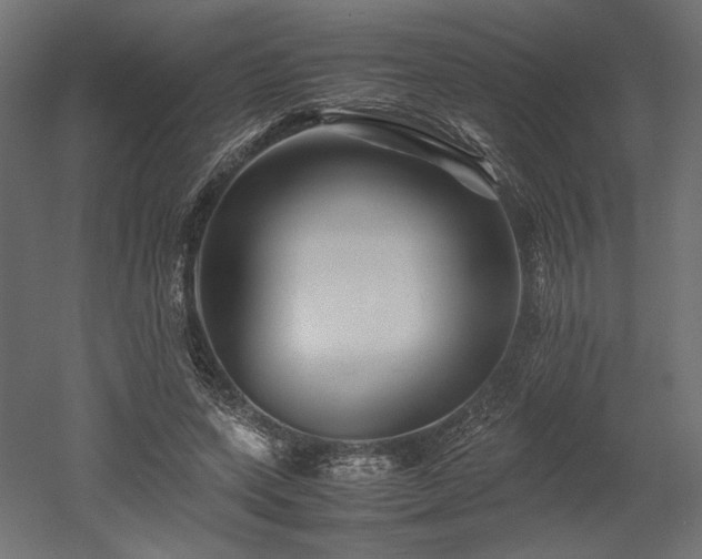 X0000052630543200507011323