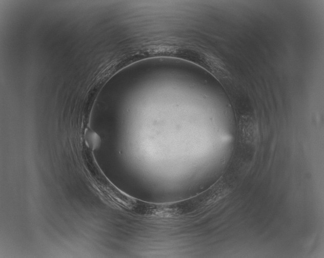 X0000052630550200507011323