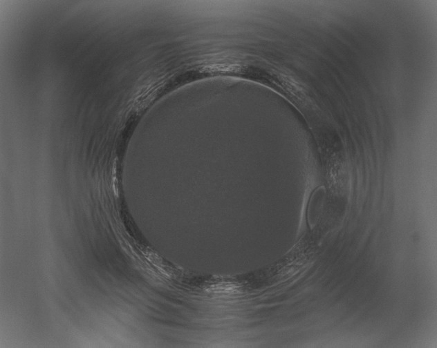 X0000052630551200507011323