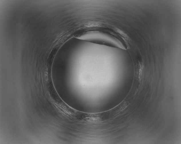 X0000052630552200507011323