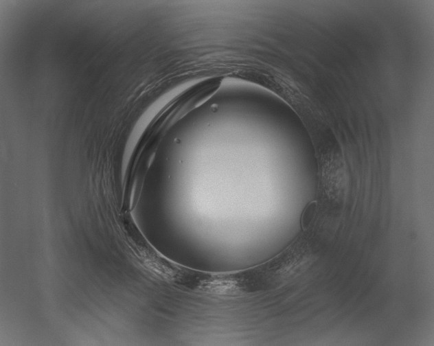 X0000052630554200507011323