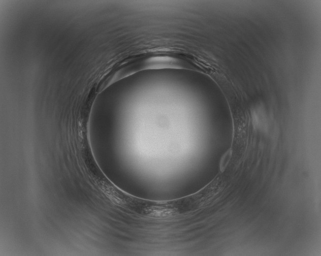 X0000052630555200507011323