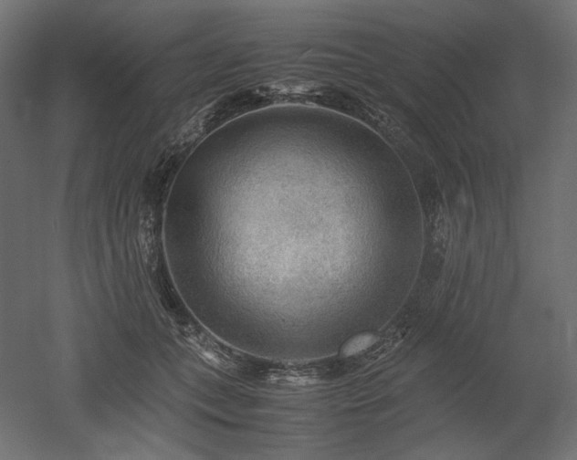 X0000052630559200507011323