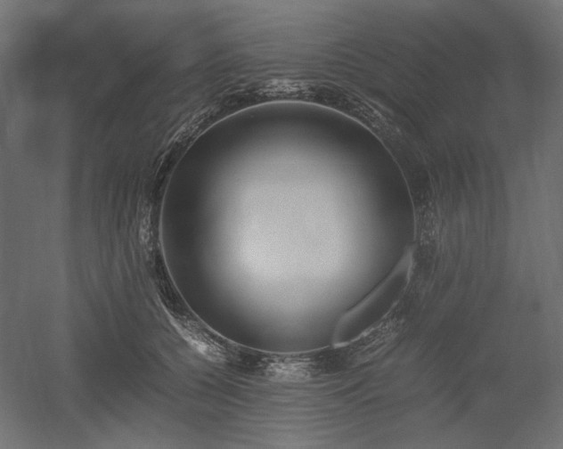 X0000052630560200507011323