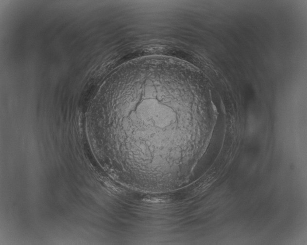 X0000052630561200507011323
