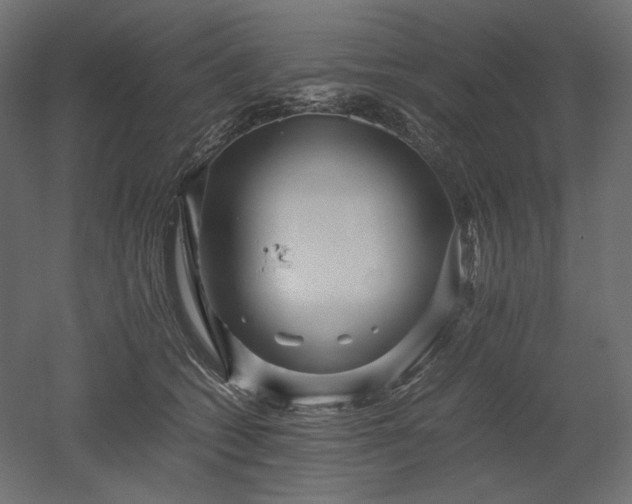 X0000052630562200507011323
