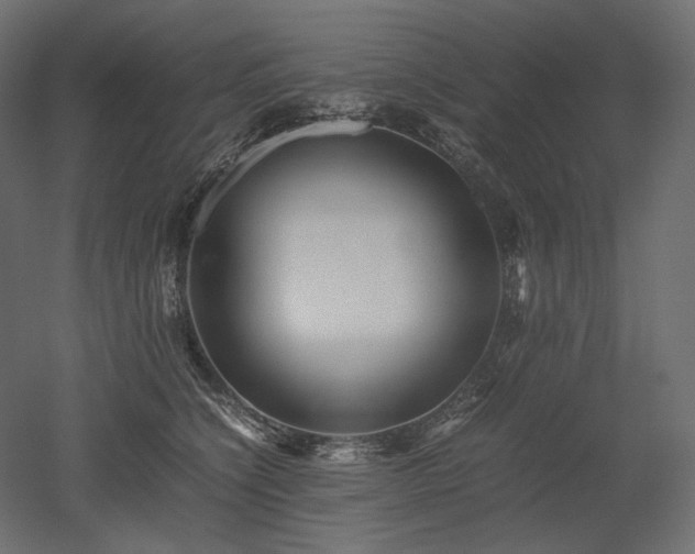 X0000052630564200507011323