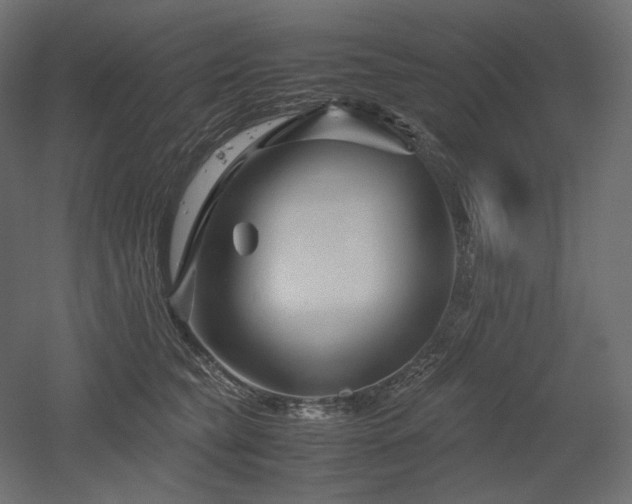 X0000052630565200507011323