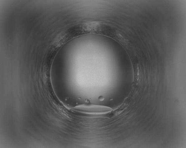 X0000052630566200507011323