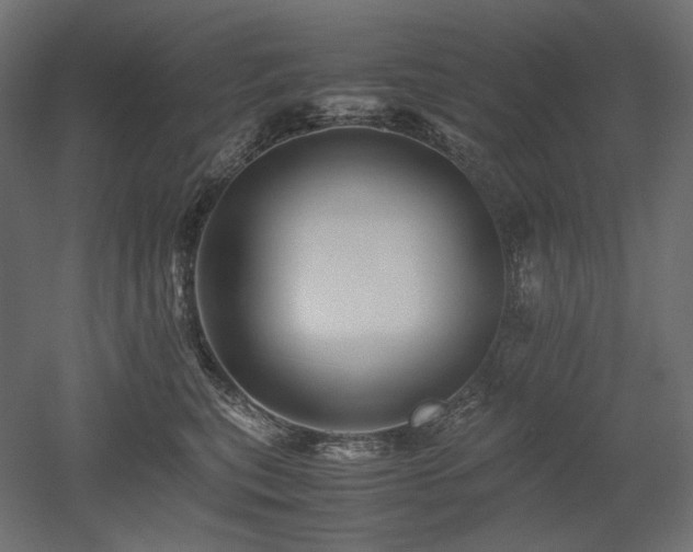 X0000052630567200507011323
