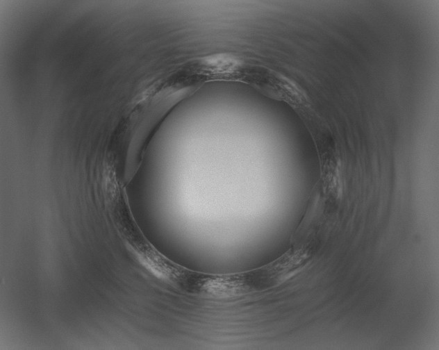 X0000052630568200507011323