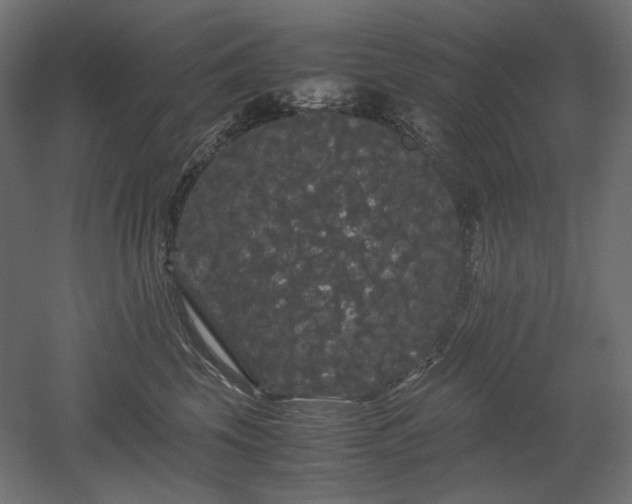 X0000052630569200507011323