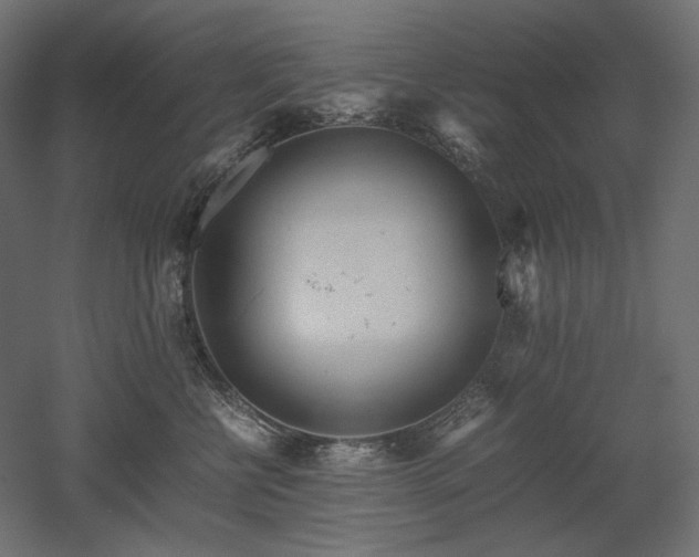 X0000052630570200507011323