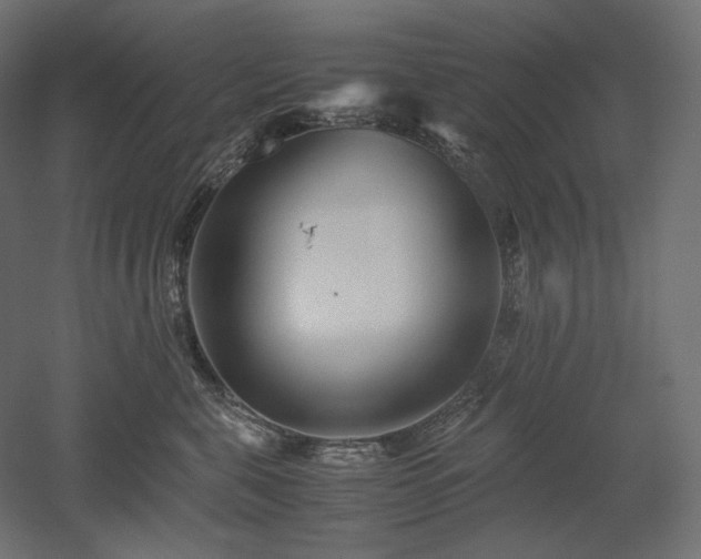 X0000052630571200507011323