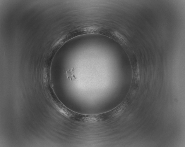 X0000052630572200507011323