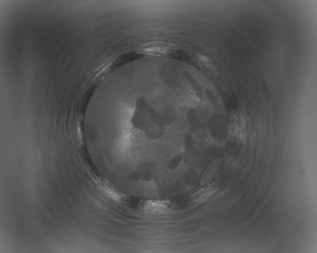 X0000052630573200507011323