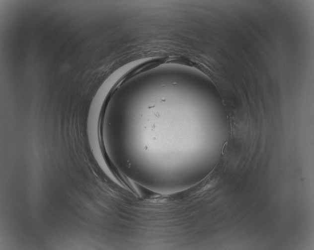 X0000052630575200507011323