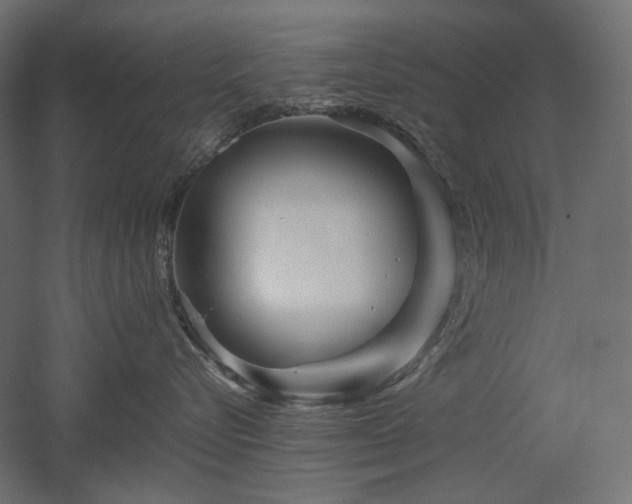 X0000052630576200507011323
