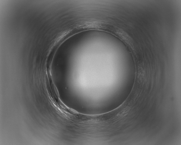 X0000052630578200507011322