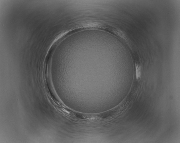X0000052630579200507011322