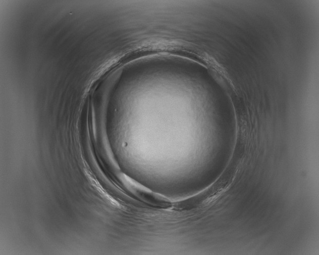 X0000052630581200507011322
