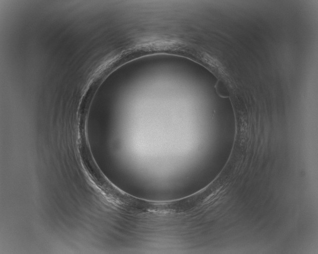 X0000052630582200507011322