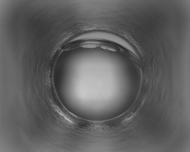 X0000052630585200507011322