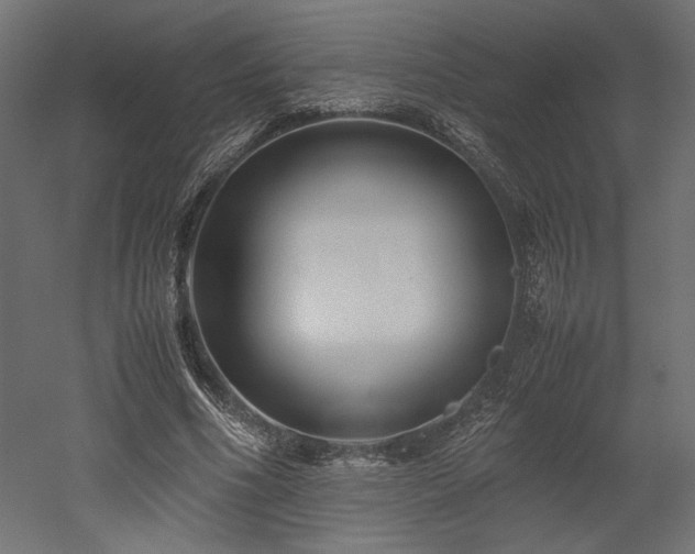 X0000052630586200507011322