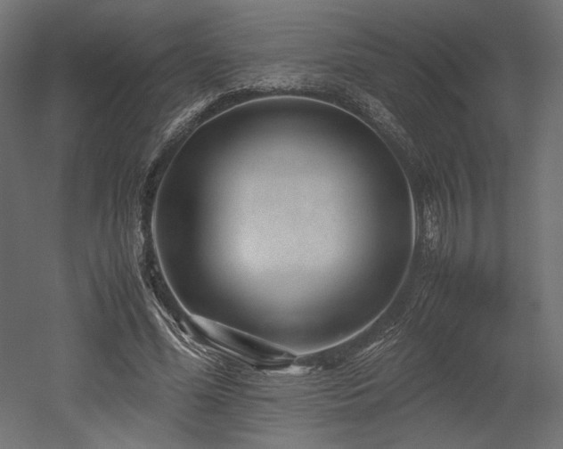 X0000052630588200507011322