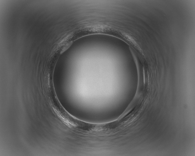 X0000052630589200507011322