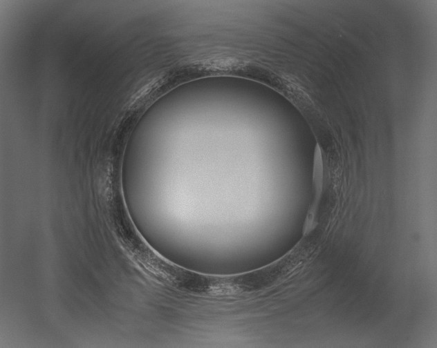 X0000052630591200507011322