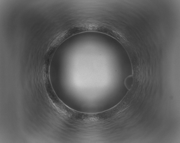 X0000052630594200507011322