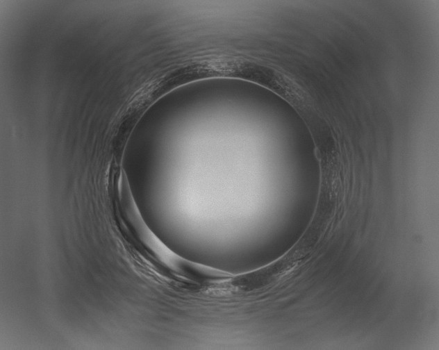 X0000052630595200507011322