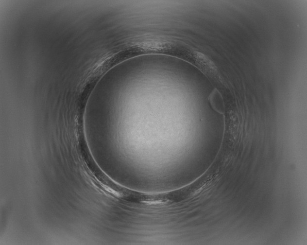 X0000052630596200507011322