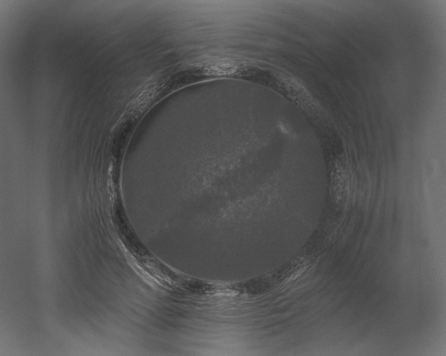 X0000052630598200507011322