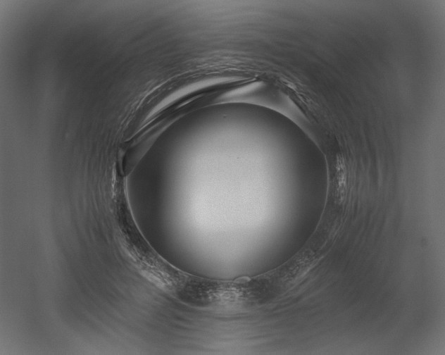 X0000052630600200507011322