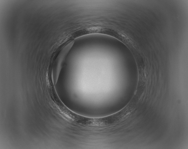 X0000052630601200507011322