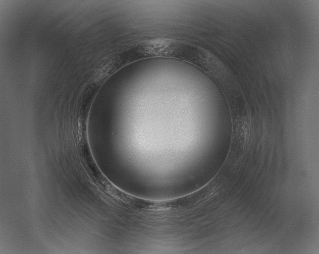 X0000052630602200507011322