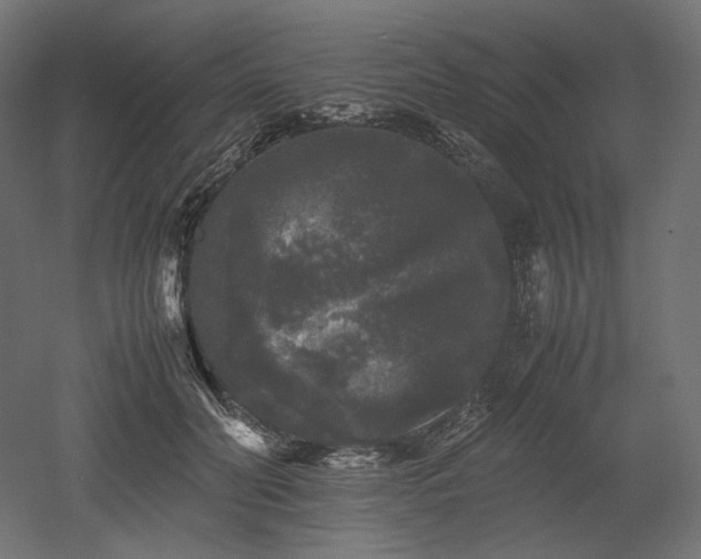 X0000052630606200507011322