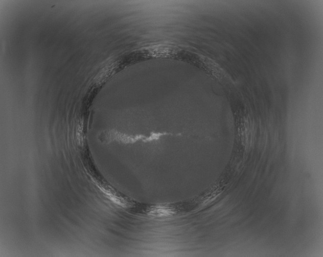 X0000052630610200507011322